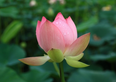 Hangzhou